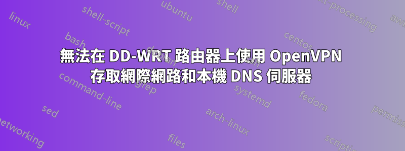 無法在 DD-WRT 路由器上使用 OpenVPN 存取網際網路和本機 DNS 伺服器