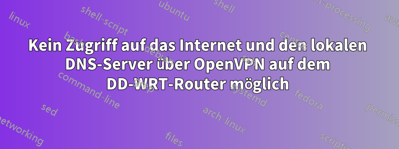 Kein Zugriff auf das Internet und den lokalen DNS-Server über OpenVPN auf dem DD-WRT-Router möglich