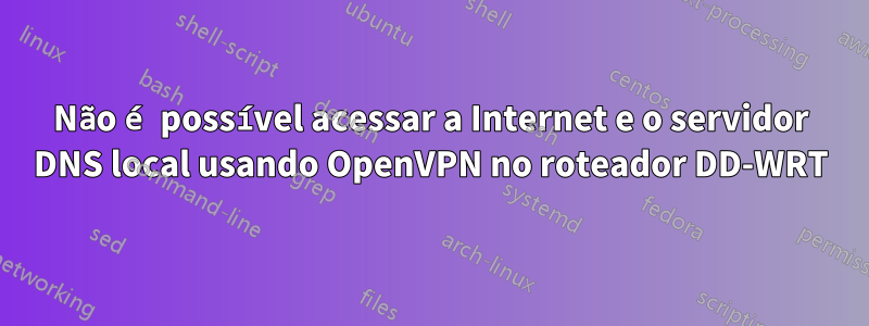 Não é possível acessar a Internet e o servidor DNS local usando OpenVPN no roteador DD-WRT