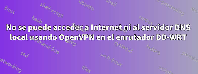 No se puede acceder a Internet ni al servidor DNS local usando OpenVPN en el enrutador DD-WRT