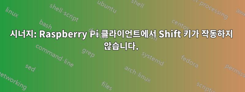 시너지: Raspberry Pi 클라이언트에서 Shift 키가 작동하지 않습니다.