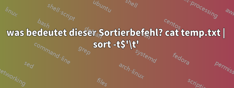 was bedeutet dieser Sortierbefehl? cat temp.txt | sort -t$'\t'