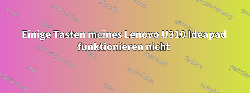 Einige Tasten meines Lenovo U310 Ideapad funktionieren nicht