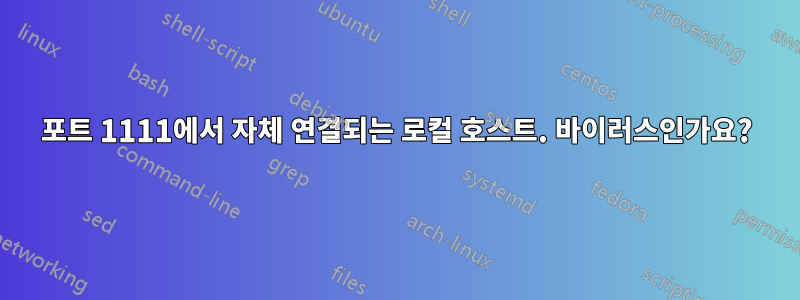 포트 1111에서 자체 연결되는 로컬 호스트. 바이러스인가요?