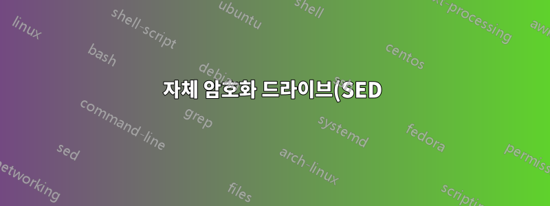 자체 암호화 드라이브(SED), 파티션 수정?