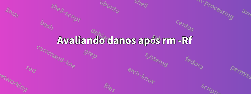 Avaliando danos após rm -Rf