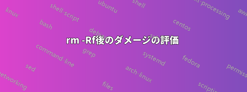 rm -Rf後のダメージの評価