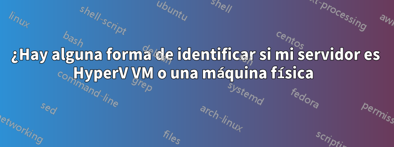 ¿Hay alguna forma de identificar si mi servidor es HyperV VM o una máquina física 