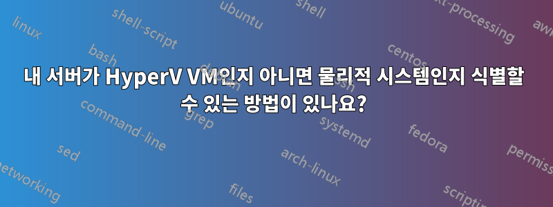 내 서버가 HyperV VM인지 아니면 물리적 시스템인지 식별할 수 있는 방법이 있나요?