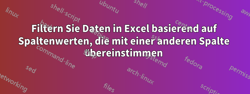 Filtern Sie Daten in Excel basierend auf Spaltenwerten, die mit einer anderen Spalte übereinstimmen