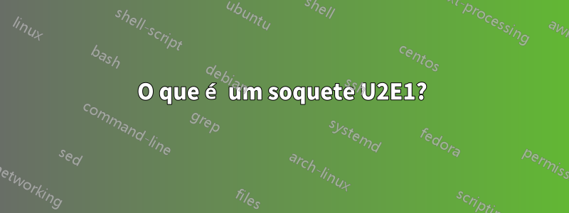 O que é um soquete U2E1?