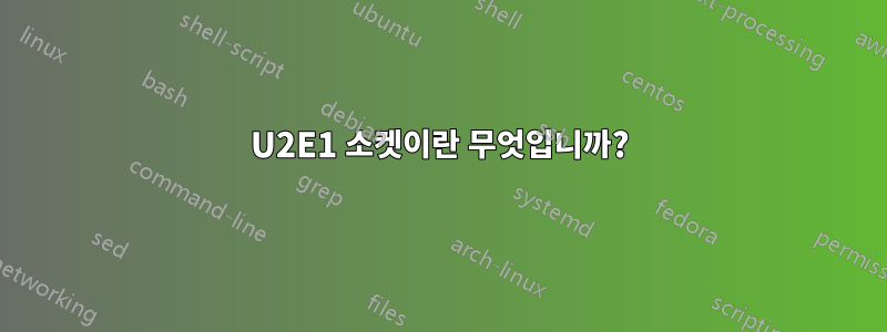 U2E1 소켓이란 무엇입니까?