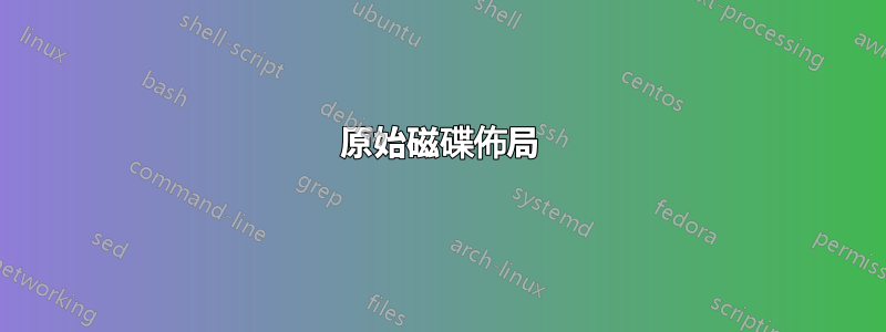 原始磁碟佈局