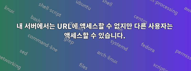 내 서버에서는 URL에 액세스할 수 없지만 다른 사용자는 액세스할 수 있습니다.