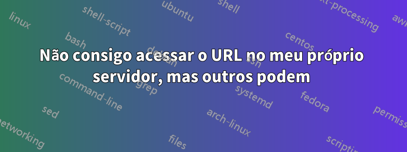 Não consigo acessar o URL no meu próprio servidor, mas outros podem