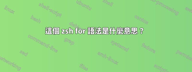 這個 zsh for 語法是什麼意思？