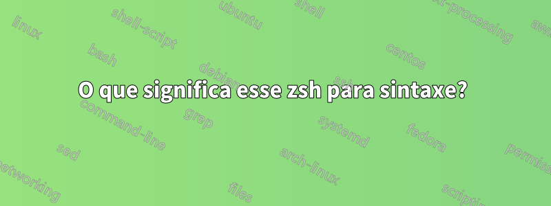 O que significa esse zsh para sintaxe?