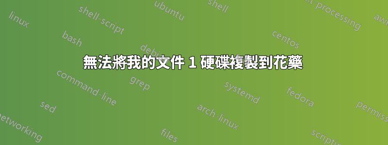 無法將我的文件 1 硬碟複製到花藥