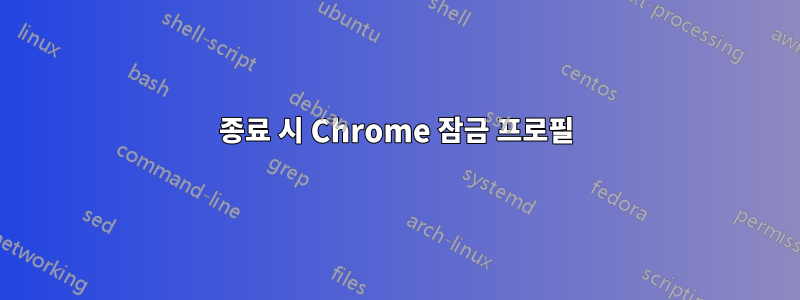 종료 시 Chrome 잠금 프로필