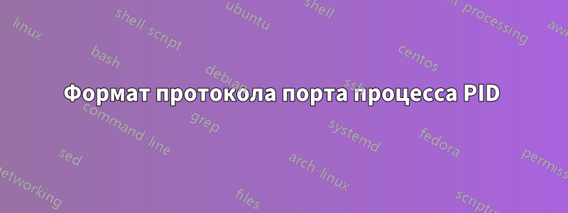 Формат протокола порта процесса PID