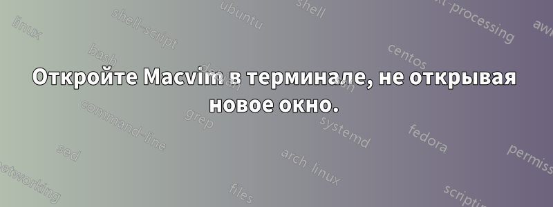 Откройте Macvim в терминале, не открывая новое окно.