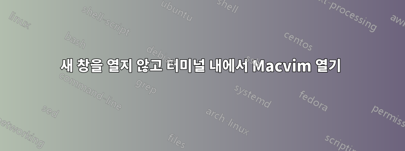 새 창을 열지 않고 터미널 내에서 Macvim 열기