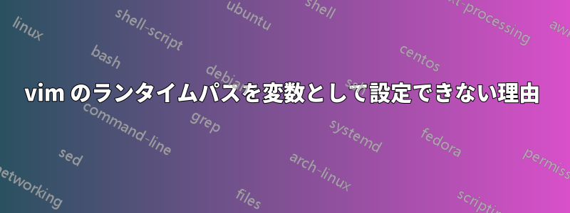 vim のランタイムパスを変数として設定できない理由