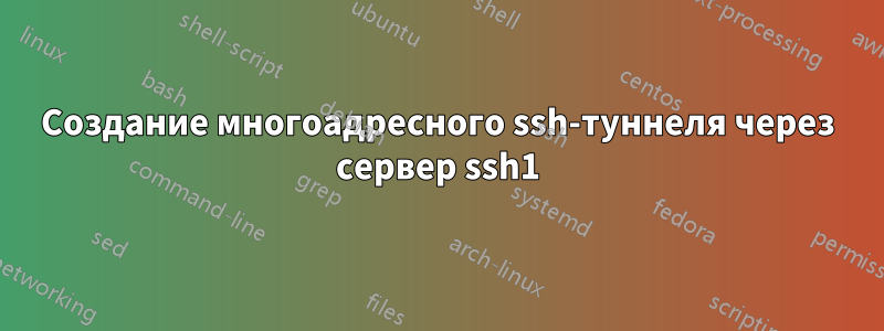 Создание многоадресного ssh-туннеля через сервер ssh1