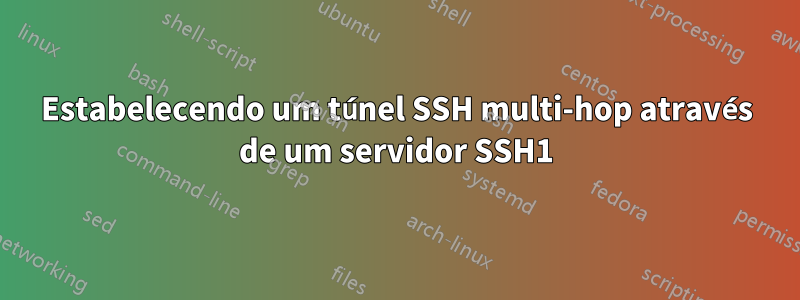 Estabelecendo um túnel SSH multi-hop através de um servidor SSH1