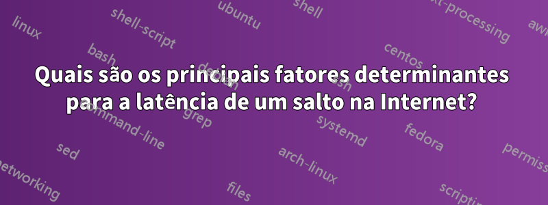 Quais são os principais fatores determinantes para a latência de um salto na Internet?