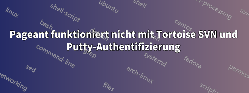 Pageant funktioniert nicht mit Tortoise SVN und Putty-Authentifizierung