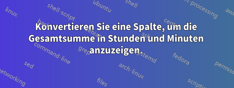 Konvertieren Sie eine Spalte, um die Gesamtsumme in Stunden und Minuten anzuzeigen.