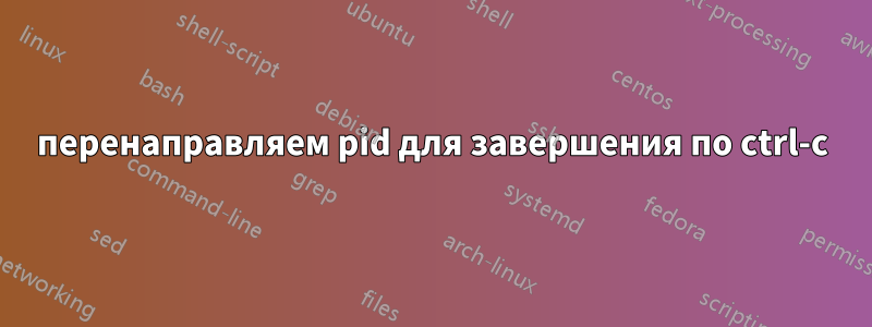 перенаправляем pid для завершения по ctrl-c