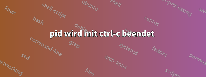 pid wird mit ctrl-c beendet