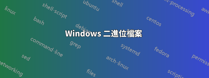 Windows 二進位檔案