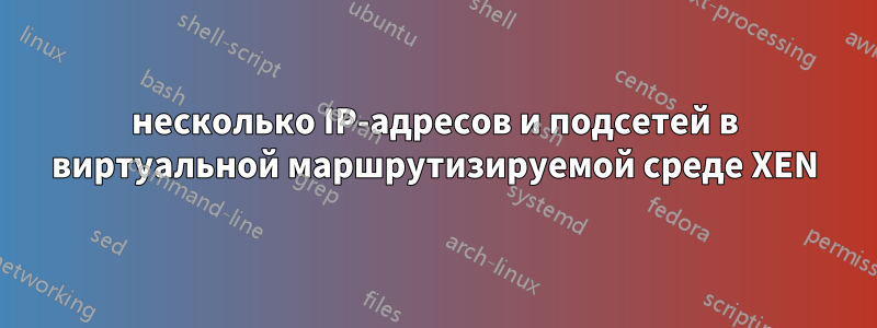 несколько IP-адресов и подсетей в виртуальной маршрутизируемой среде XEN