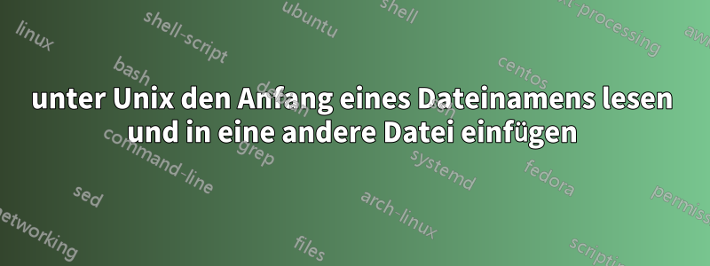 unter Unix den Anfang eines Dateinamens lesen und in eine andere Datei einfügen