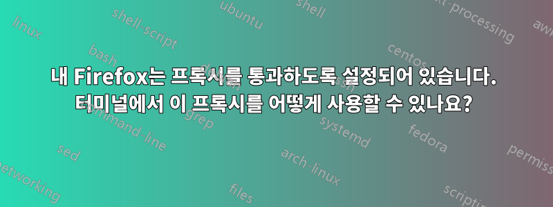 내 Firefox는 프록시를 통과하도록 설정되어 있습니다. 터미널에서 이 프록시를 어떻게 사용할 수 있나요?