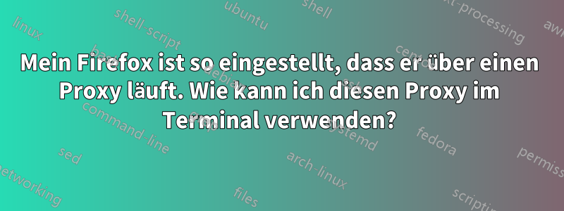 Mein Firefox ist so eingestellt, dass er über einen Proxy läuft. Wie kann ich diesen Proxy im Terminal verwenden?