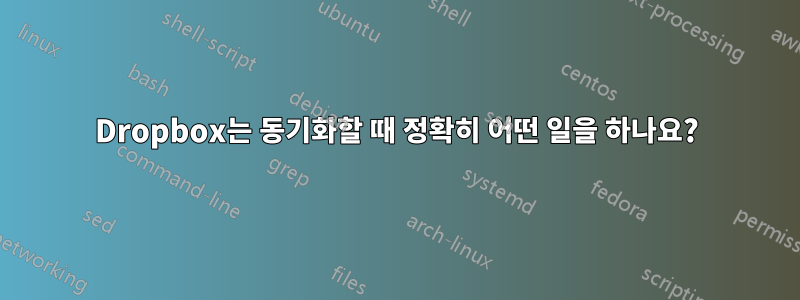 Dropbox는 동기화할 때 정확히 어떤 일을 하나요?