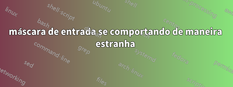 máscara de entrada se comportando de maneira estranha