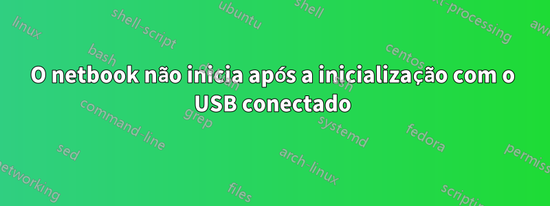 O netbook não inicia após a inicialização com o USB conectado