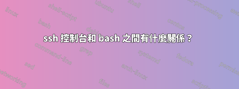 ssh 控制台和 bash 之間有什麼關係？