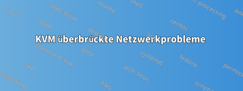 KVM überbrückte Netzwerkprobleme