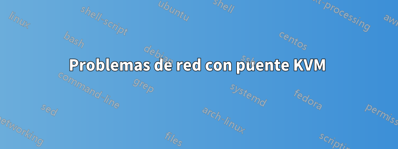 Problemas de red con puente KVM