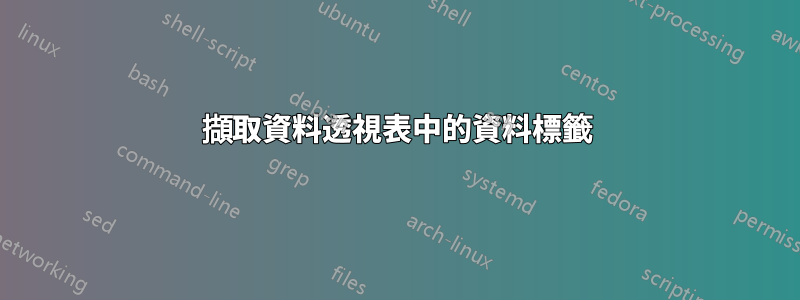 擷取資料透視表中的資料標籤