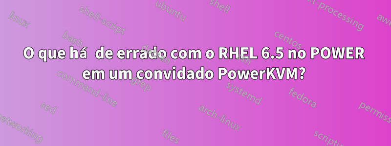 O que há de errado com o RHEL 6.5 no POWER em um convidado PowerKVM?