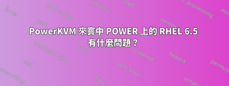 PowerKVM 來賓中 POWER 上的 RHEL 6.5 有什麼問題？