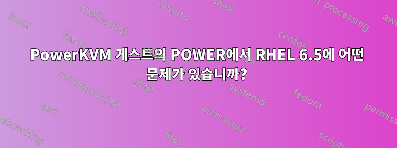 PowerKVM 게스트의 POWER에서 RHEL 6.5에 어떤 문제가 있습니까?