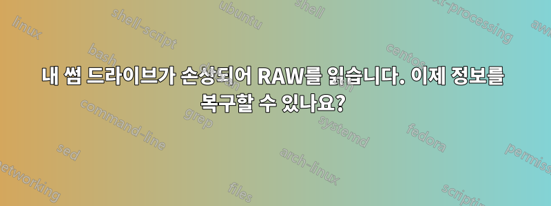 내 썸 드라이브가 손상되어 RAW를 읽습니다. 이제 정보를 복구할 수 있나요?